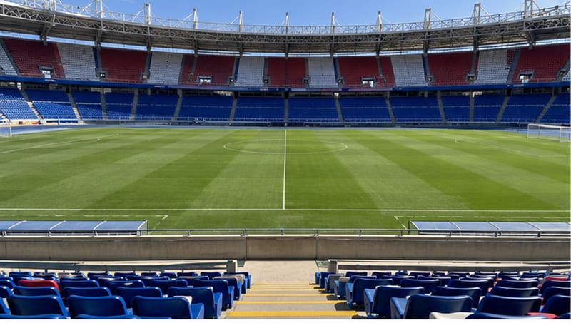 View of the pitch from Category 1 at Estadio Metropolitano Roberto Meléndez