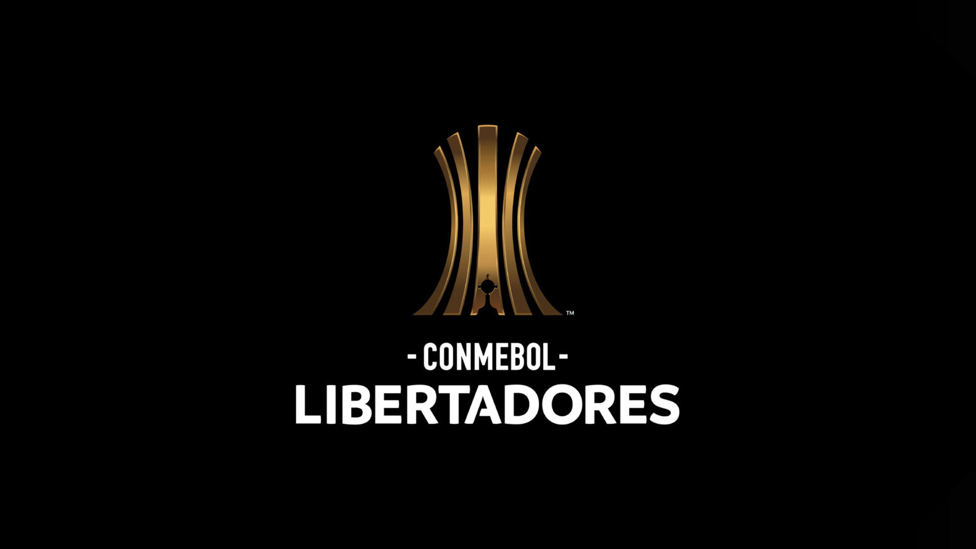 Incidente violento fuerza la suspensión del duelo Medellín-Flamengo por la Libertadores — image 2