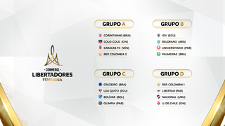 LIBFEM - GRUPOS 16_9_REPECU