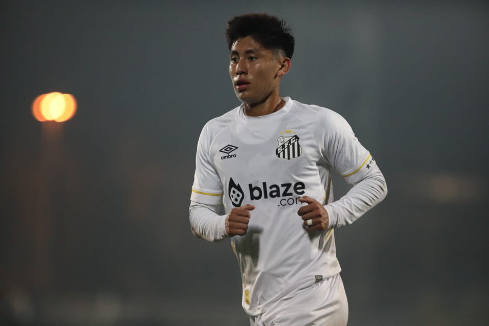 MT - Santos FC II.jpg