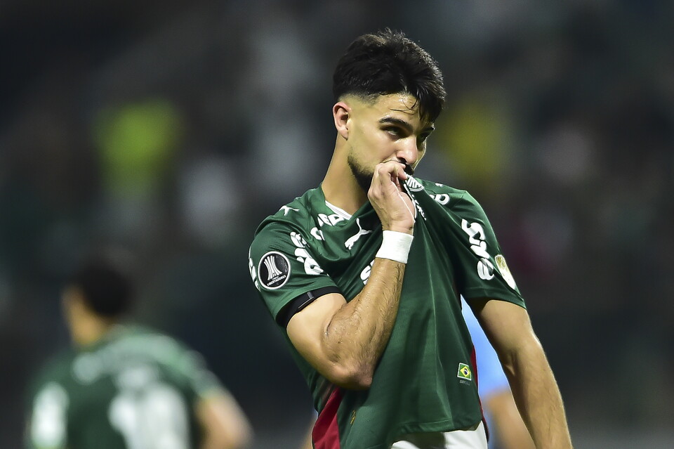 Palmeiras - CONMEBOL Libertadores