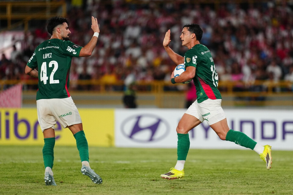 Palmeiras