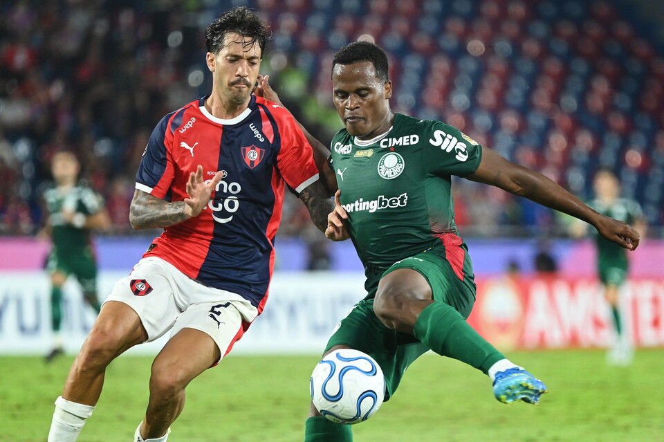 Palmeiras Cerro