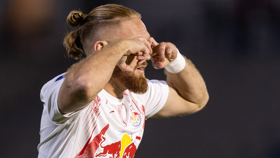 Pitta - Sudamericana